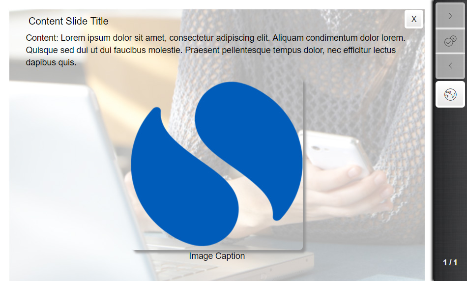 Example of a Content Slide (Style 3 template)