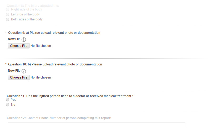 Questions in the Survey Body