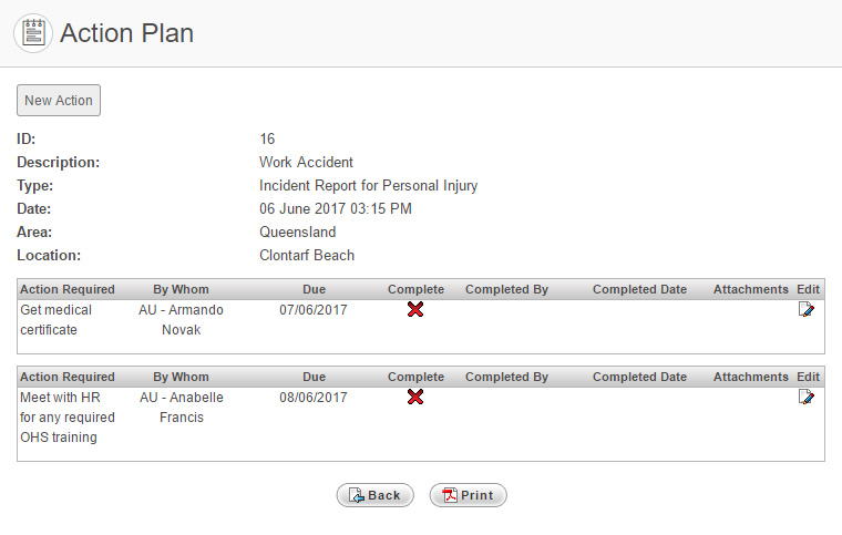 Example Action Plan page