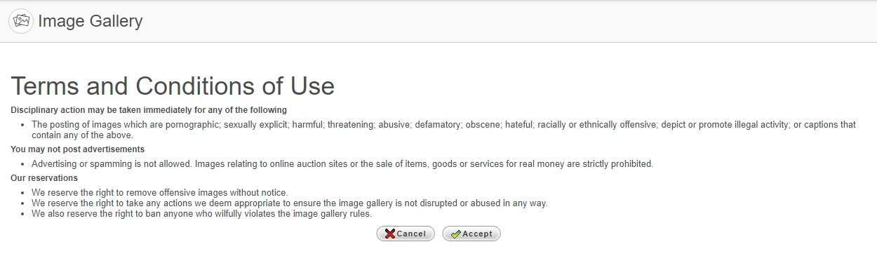 Example of Terms & Conditions for the Image Gallery