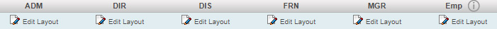 Account Group Codes with Edit Layout Buttons