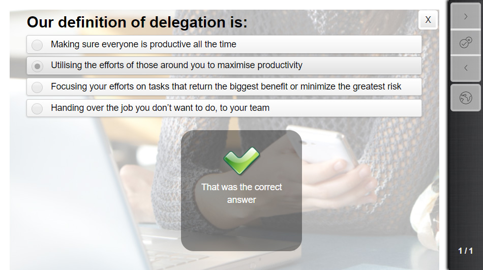 Example of a Multiple Choice Question (Style 3 template)